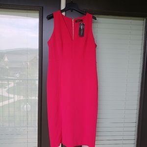 Gabrielle Union Hot Pink Sheath